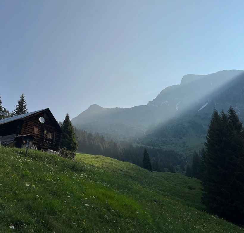 Alpine meadow and cabin below a mountain range