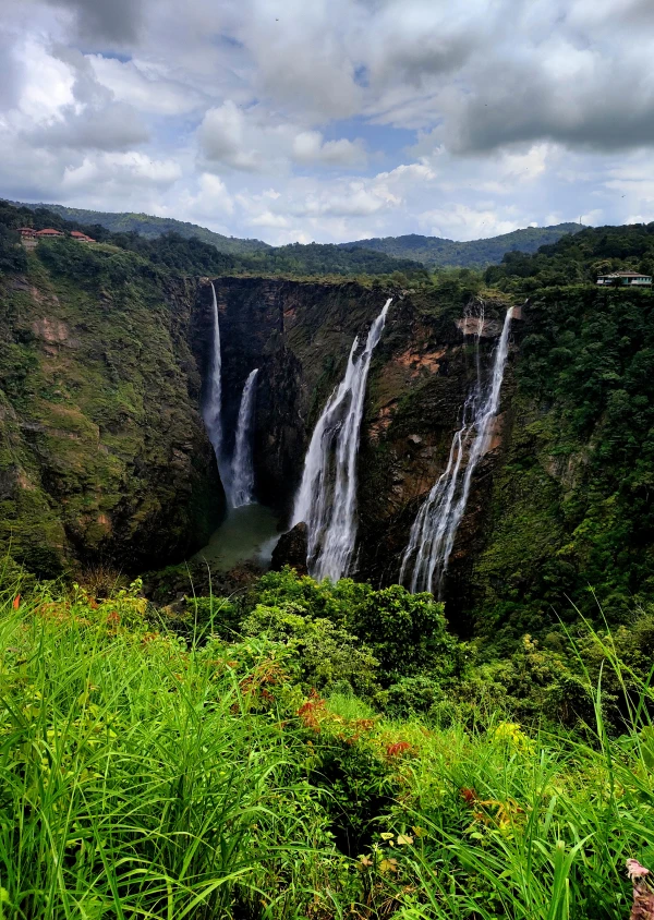 Waterfall dropping through green forest